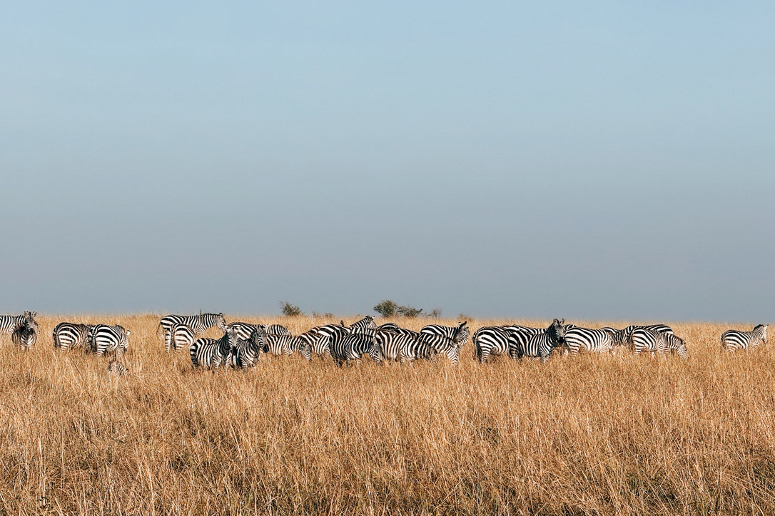 Shot with FIMO EK 80.